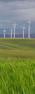 Renewable-Wind.jpg